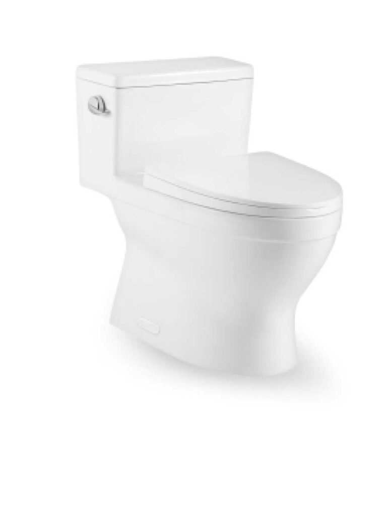 Modern Elongated One-Piece Toilet